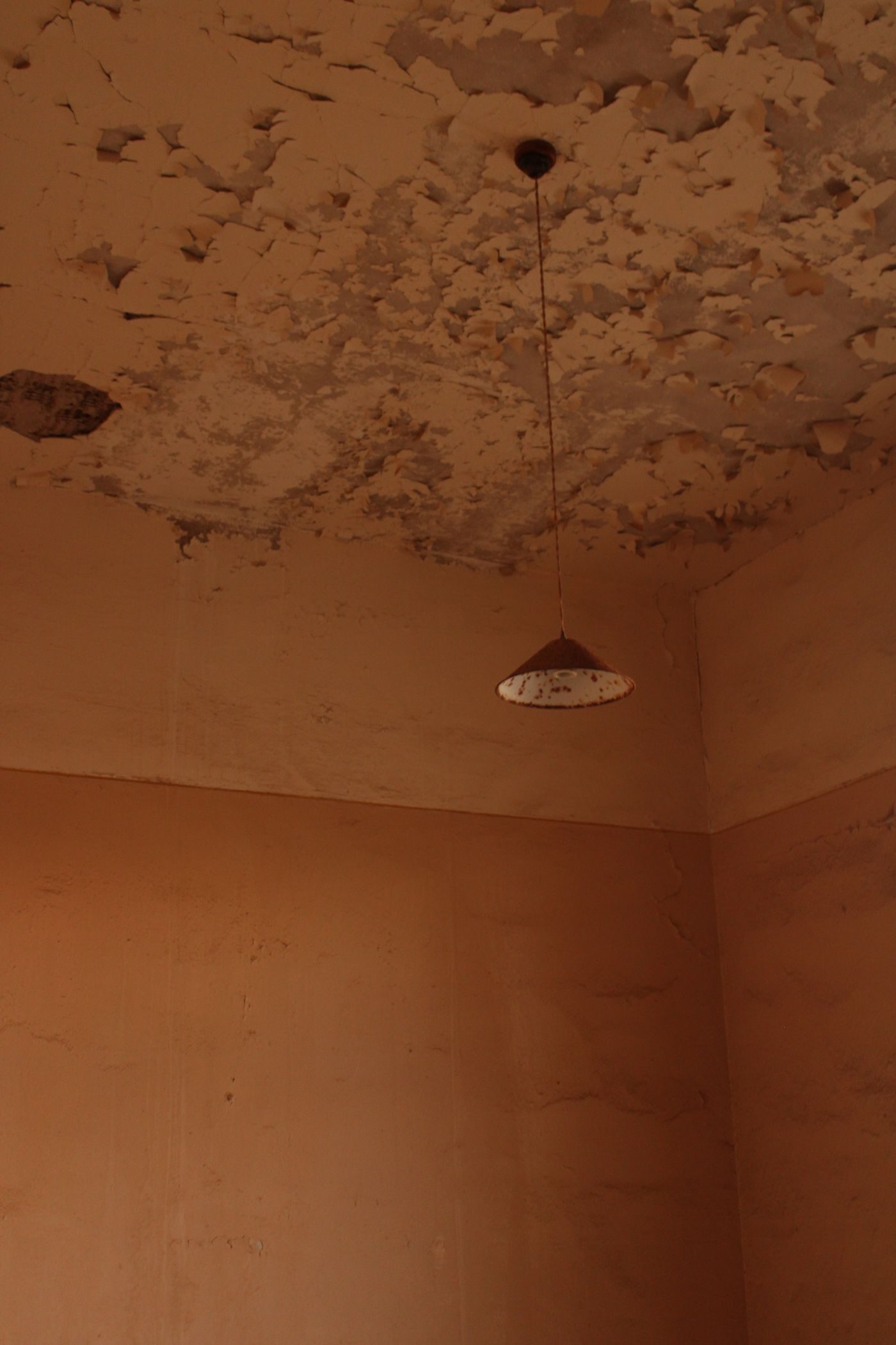 Water damaged, peeling ceiling above a hanging light fitting in a dim room
